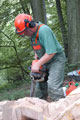 Click to see it big Ich mit Kettensäge, Impression aus dem Wald